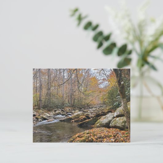 Grote Smoky Mountains Herfst Autumn River Briefkaart (Staand voorkant)