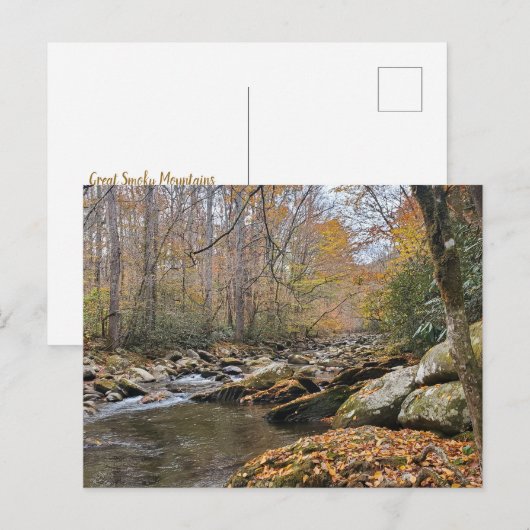 Grote Smoky Mountains Herfst Autumn River Briefkaart (Voorkant / Achterkant)