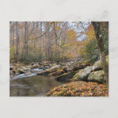 Grote Smoky Mountains Herfst Autumn River Briefkaart (Voorkant)