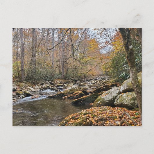 Grote Smoky Mountains Herfst Autumn River Briefkaart (Voorkant)