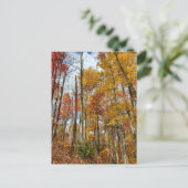 Grote Smoky Mountains National Park Herfst gebergt Briefkaart (Staand voorkant)