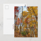 Grote Smoky Mountains National Park Herfst gebergt Briefkaart (Voorkant / Achterkant)