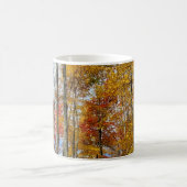 Grote Smoky Mountains National Park Herfst gebergt Koffiemok (Center)