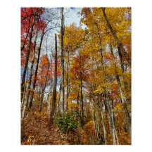 Grote Smoky Mountains National Park Herfst gebergt