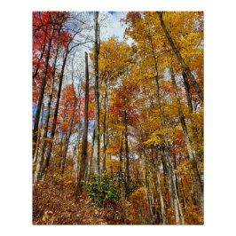Grote Smoky Mountains National Park Herfst gebergt Perfect Poster