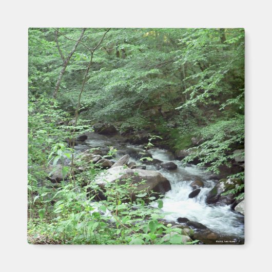 Grote Smoky Mountains Stream magneet (Voorkant)