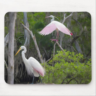 Grote spijt dominantie over Roseate Spoonbill. Muismat