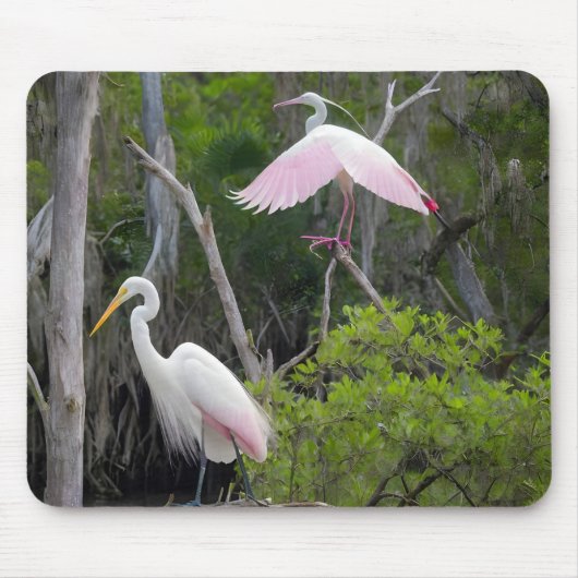 Grote spijt dominantie over Roseate Spoonbill. Muismat (Voorkant)