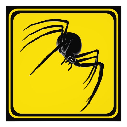 Grote Spinkruising. Foto Afdruk (Voorkant)