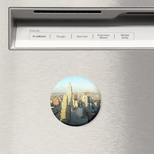 GROTE STAD MAGNEET (Insitu (Vaatwasser))