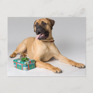 Grote stamboom hond met kerstcadeau feestdagenkaart