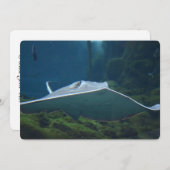 Grote stapel kaart (Voorkant / Achterkant)