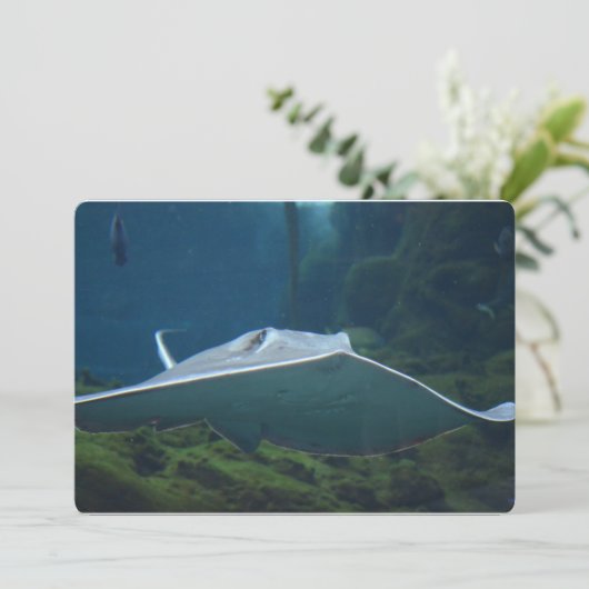 Grote stapel kaart (Staand voorkant)