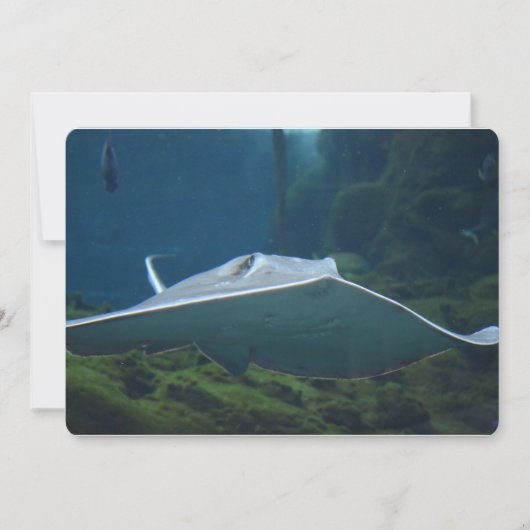 Grote stapel kaart (Voorkant)