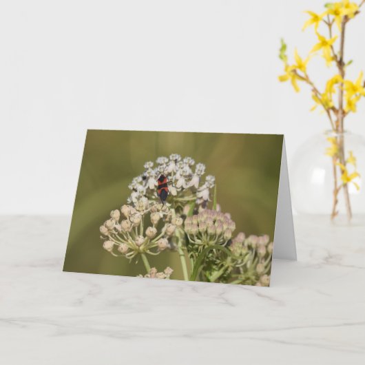 Grote stekelstaart kaart (Gele Bloem)