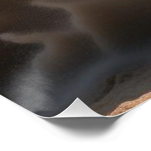 grote stier perfect poster (Hoek)