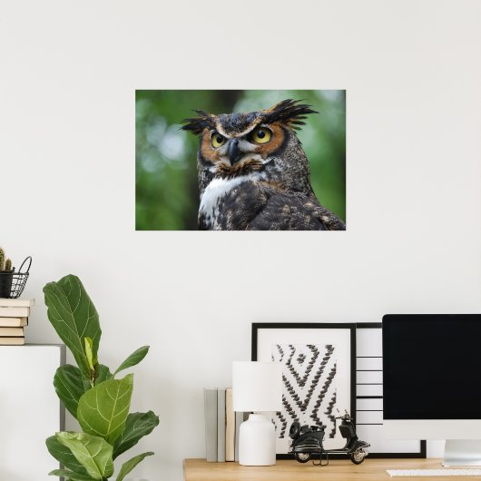 Grote struikvogel poster (Thuiskantoor)