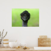 grote struisvogel-poster poster (Keuken)
