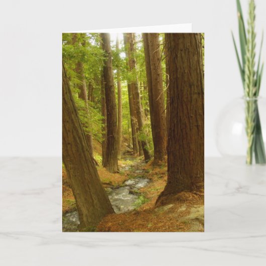 Grote Sur, Californië Kaart (Voorkant)