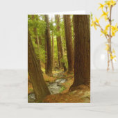 Grote Sur, Californië Kaart (Gele Bloem)