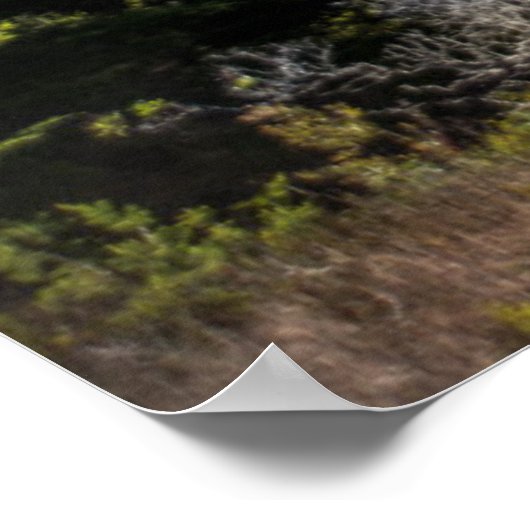 Grote Sur-kustlijn, westkust, Stille kust Poster (Hoek)