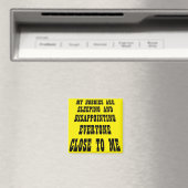 Grote teleurstelling Funny Fridge Magnet (Insitu (Vaatwasser))