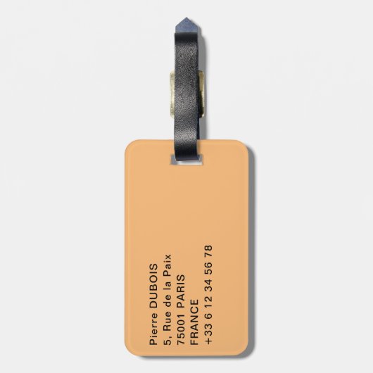 Grote tempel van Abu Simbel - Ramses II - Egypte Bagagelabel (Achterkant verticaal)