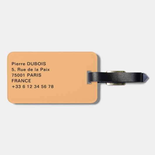 Grote tempel van Abu Simbel - Ramses II - Egypte Bagagelabel (Achterkant horizontaal)