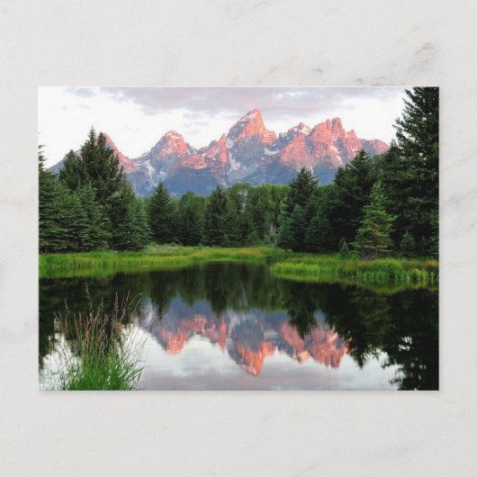Grote Teton reflecteert over de Beaver-obligatie Briefkaart (Voorkant)