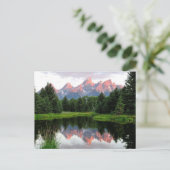 Grote Teton reflecteert over de Beaver-obligatie Briefkaart (Staand voorkant)