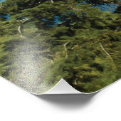 Grote Tetonbergen - Wilde plaatsen Fotografie Foto Afdruk (Hoek)