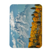 Grote Tetongebergte in de Herfst Magneet (Verticaal)