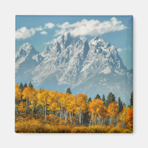 Grote Tetongebergte in de Herfst Magneet