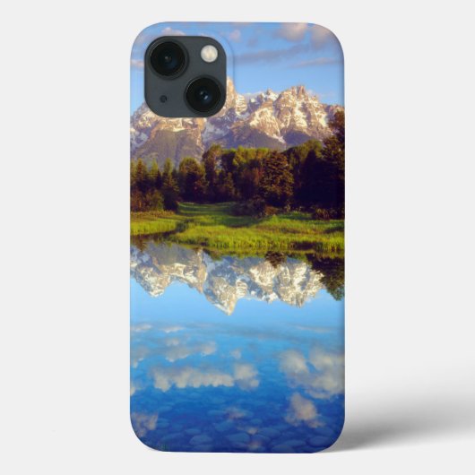 Grote Tetons die in de Snake-rivier reflecteren Case-Mate iPhone Case (Achterkant)