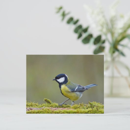 Grote tiervogel briefkaart (Staand voorkant)