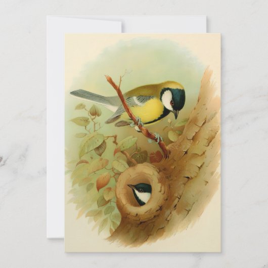 Grote tiet- Kleurrijke vogel, Kunst Feestdagenkaart (Voorkant)