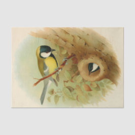 Grote tiet- Kleurrijke vogel, Kunst Tissuepapier