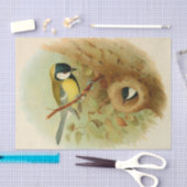 Grote tiet- Kleurrijke vogel, Kunst Tissuepapier (Craft)