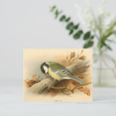 Grote tiet van Lord Lilford, Illustratie Briefkaart (Staand voorkant)