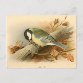 Grote tiet van Lord Lilford, Illustratie Briefkaart (Voorkant)