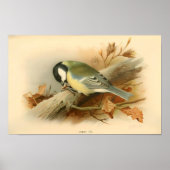 Grote tiet van Lord Lilford, Illustratie Poster (Voorkant)