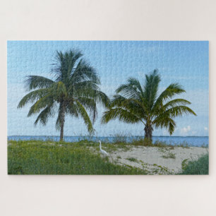 Grote troet, Great Abaco Island, Bahama's Legpuzzel