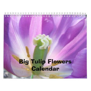 Grote Tulp Bloemen Kalender Natuur Bloemrijk Kleur