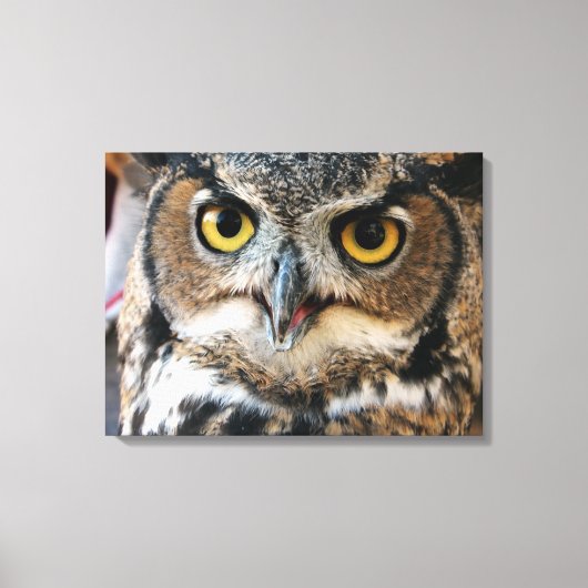 Grote Uil (Bubo virginianus) Canvas Afdruk (Voorkant)