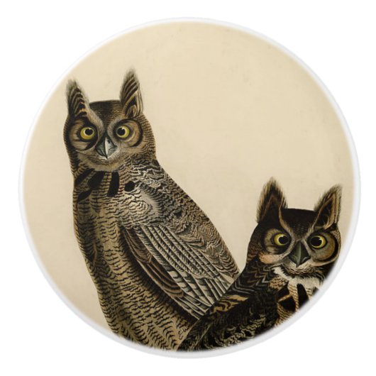 Grote Uil (J.J. Audubon) Keramische Knop (Voorkant)