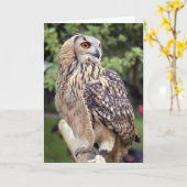 Grote Uil op de Wenskaarten van de Omheining Kaart (Gele Bloem)