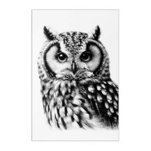 Grote Uil Portret 24x36" Acryl Wall Art
