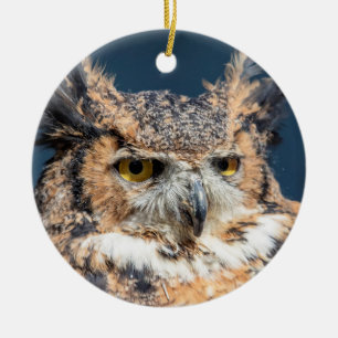 Grote Uil Portret Keramisch Ornament