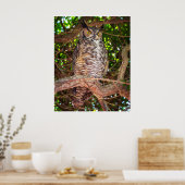 Grote Uil Poster | Wilde Dieren Vogel Kunst (Keuken)