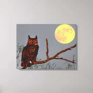 Grote Uil   Volle Maan Canvas Afdruk